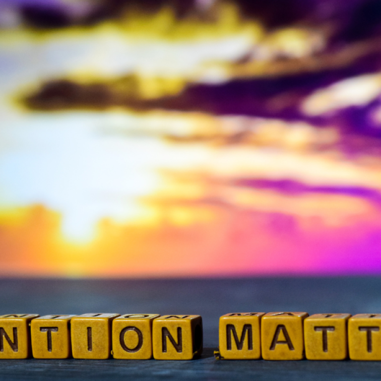 8eda12_e6dc6a44da204fca8bb96ca3894a472c~mv2